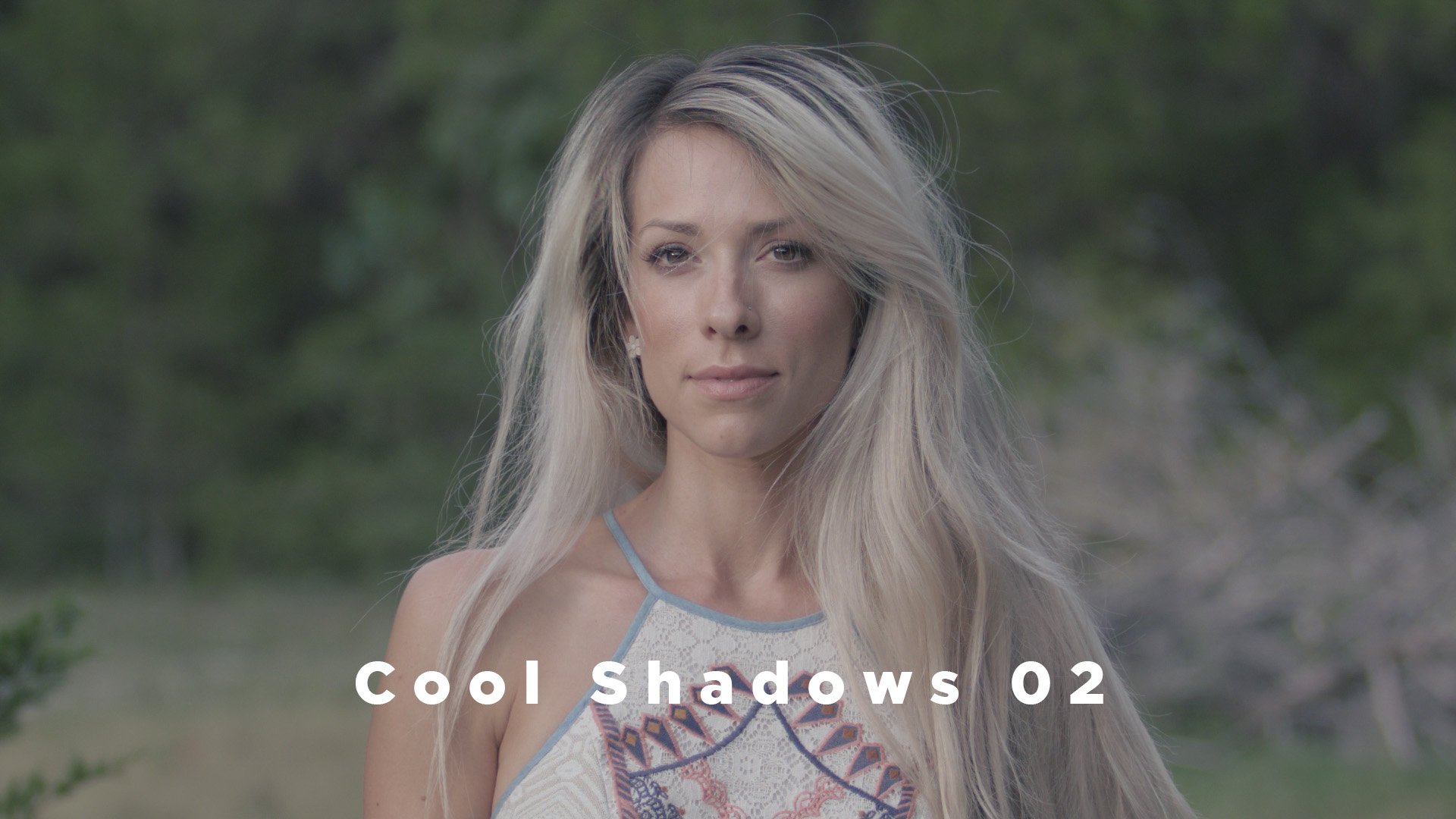 Theo Miesner Swiss Video LUTs