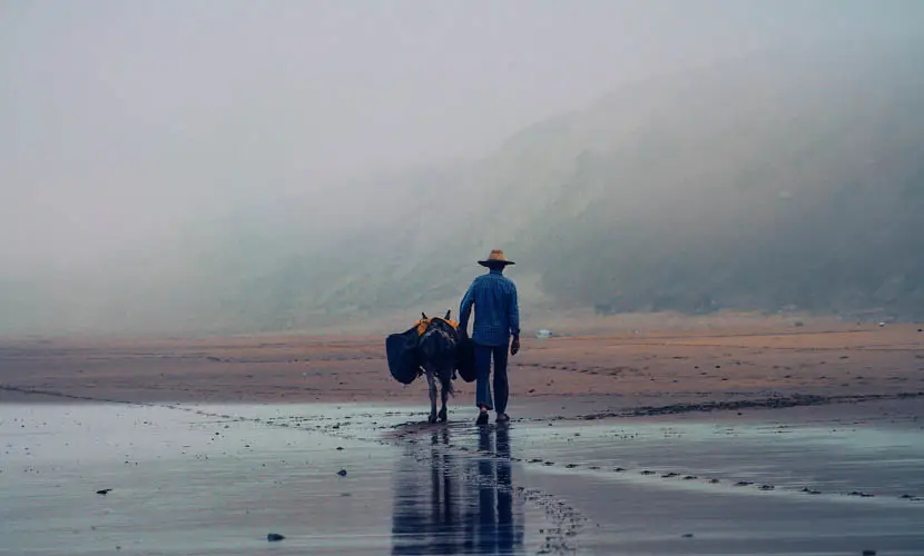 50 Expert mLUTs Film 3