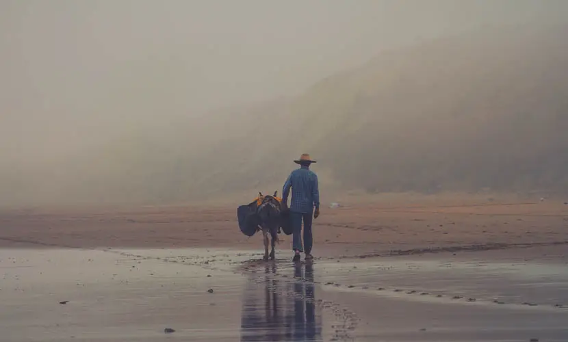 50 Expert mLUTs Film 3