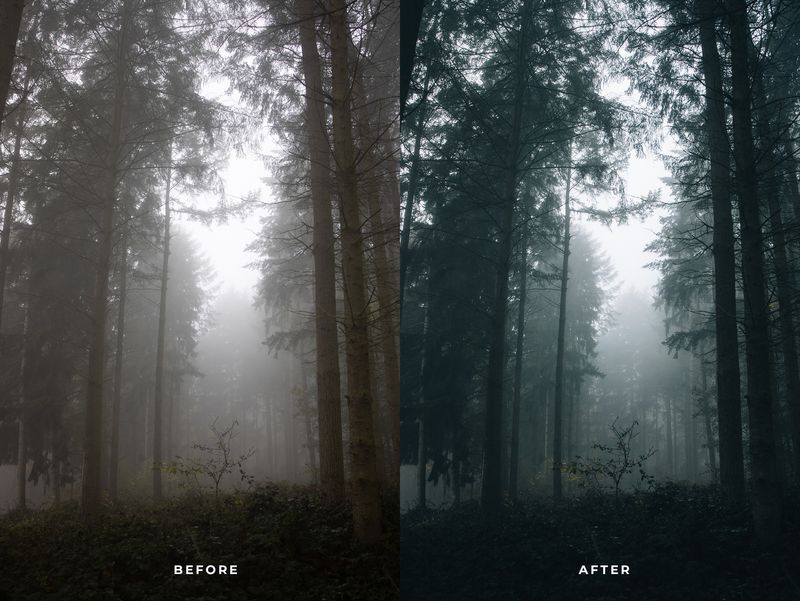 MOOD 10 Lightroom Presets