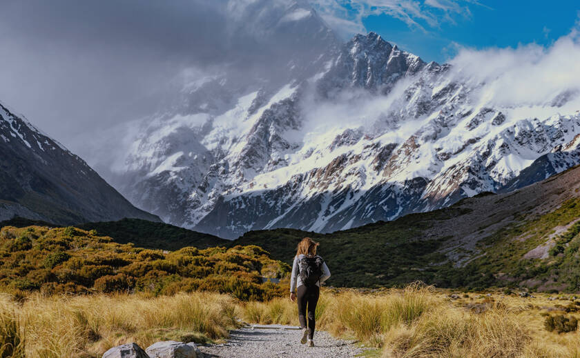 30 Professional LUTs MLUT Film 2