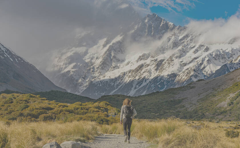 30 Professional LUTs MLUT Film 2