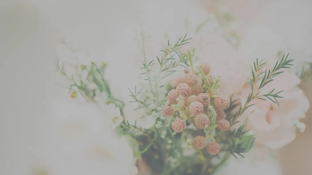 25 Professional LUTs for Wedding Videos MLUT Film