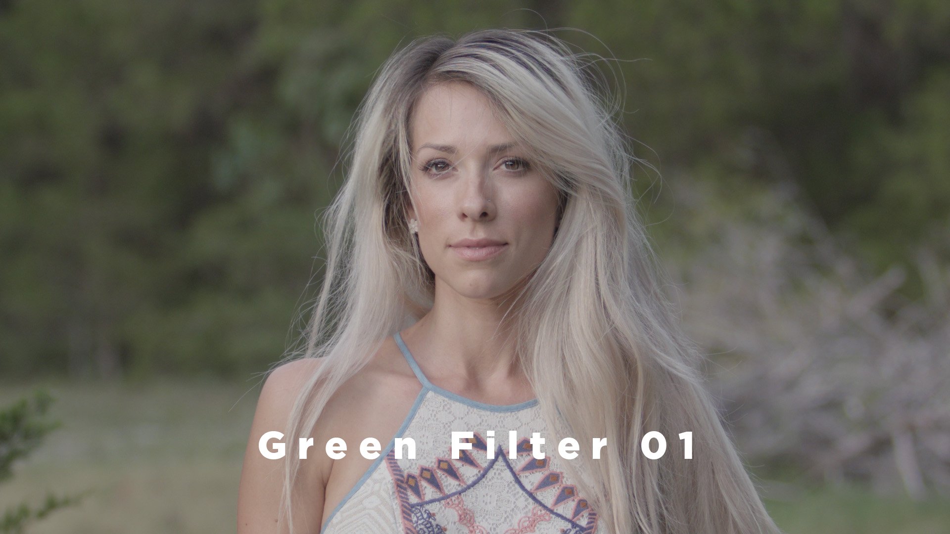 Theo Miesner Swiss Video LUTs