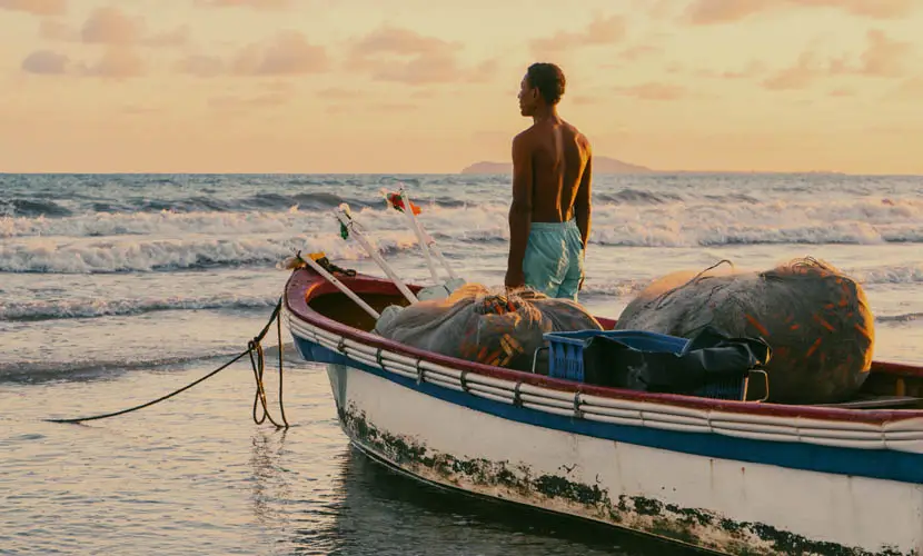 50 Expert mLUTs Film 3