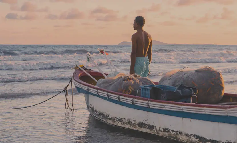 50 Expert mLUTs Film 3