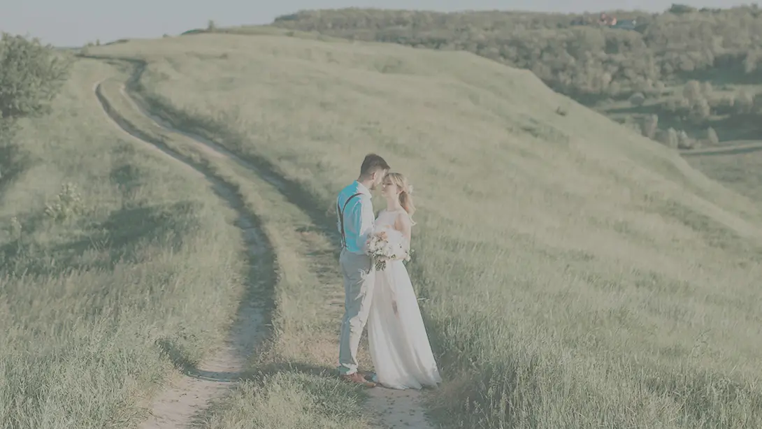 25 Professional LUTs for Wedding Videos MLUT Film