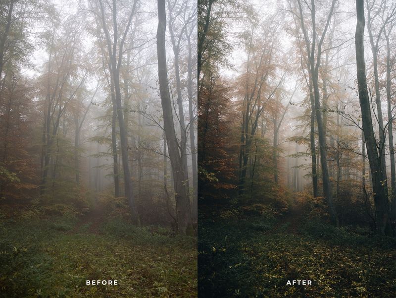 MOOD 10 Lightroom Presets