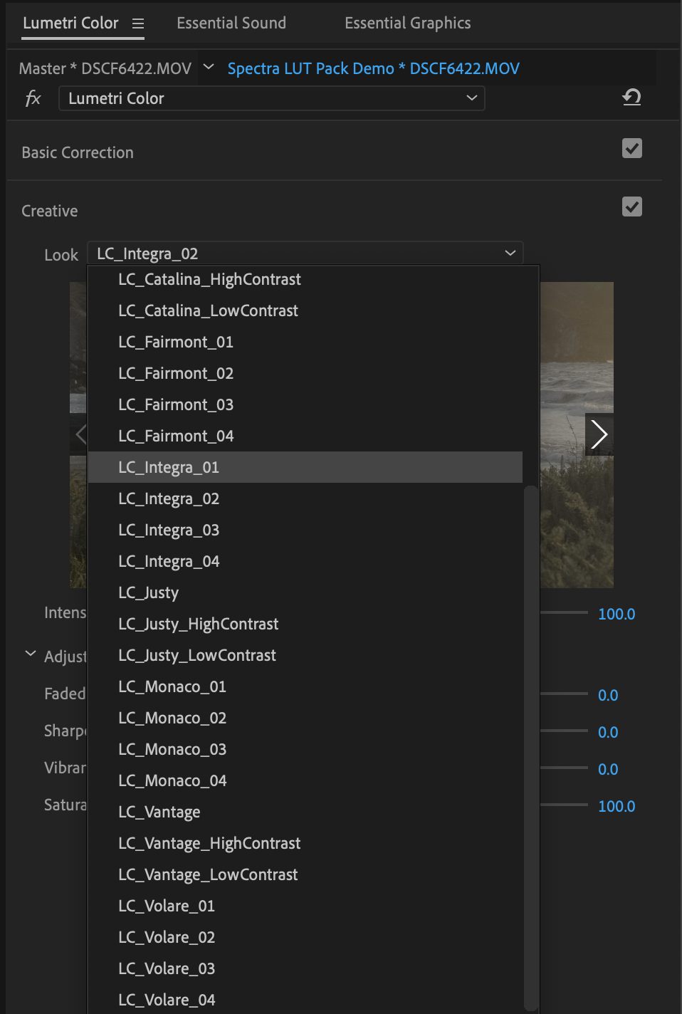 How to Install LUTs in Adobe Premiere Pro 2025