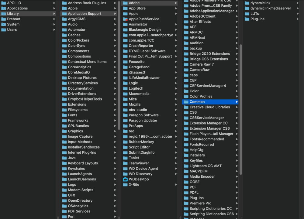 How to Install LUTs in Adobe Premiere Pro 2025