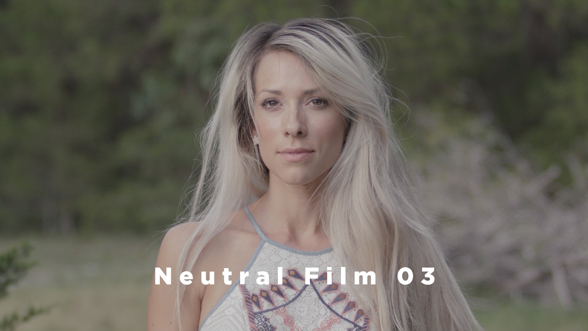 Theo Miesner Swiss Video LUTs