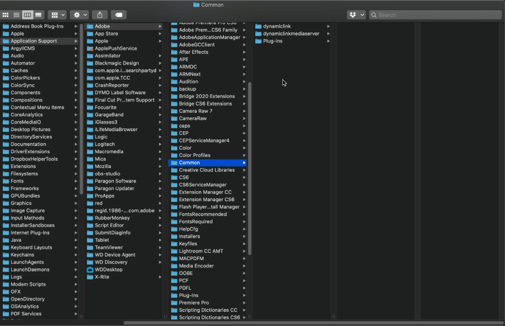 How to Install LUTs in Adobe Premiere Pro 2025