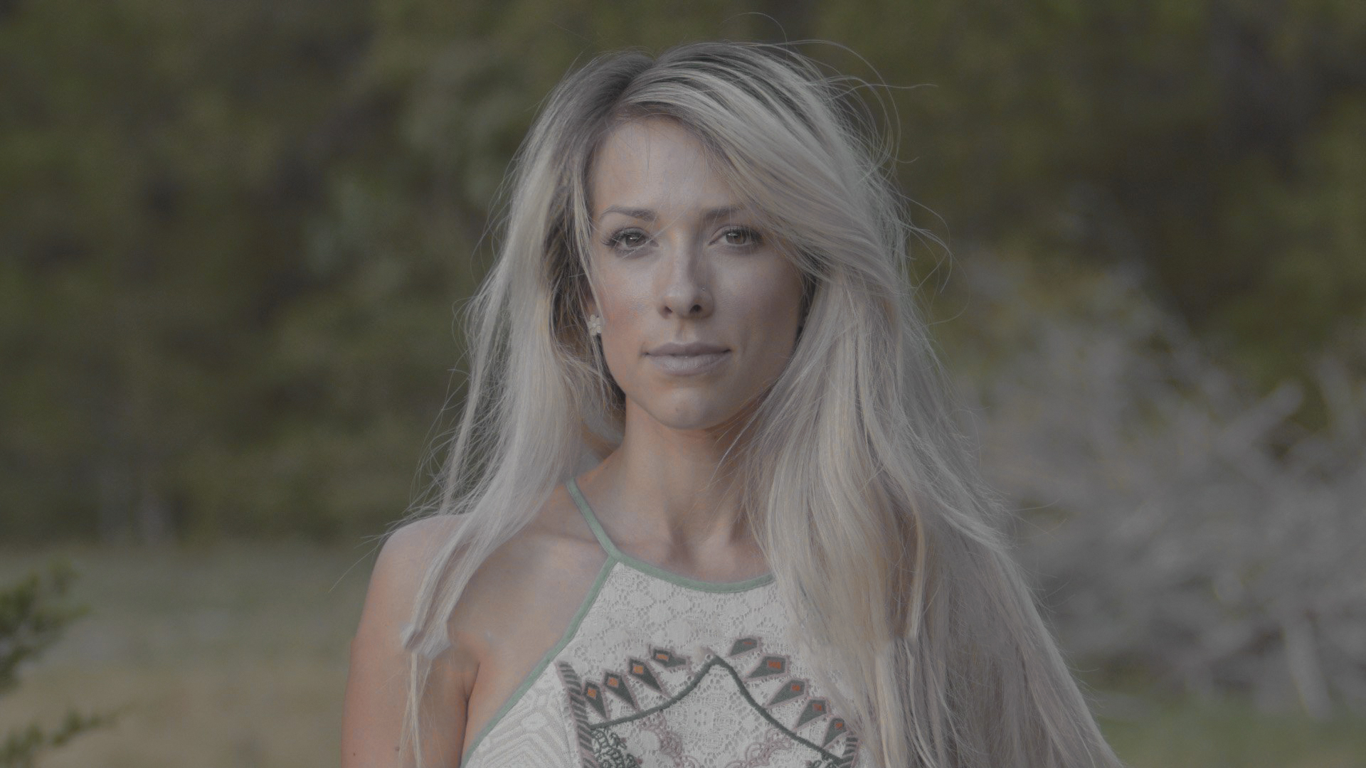 Theo Miesner Swiss Video LUTs