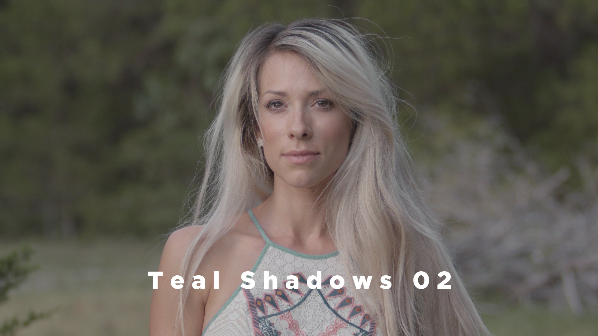 Theo Miesner Swiss Video LUTs