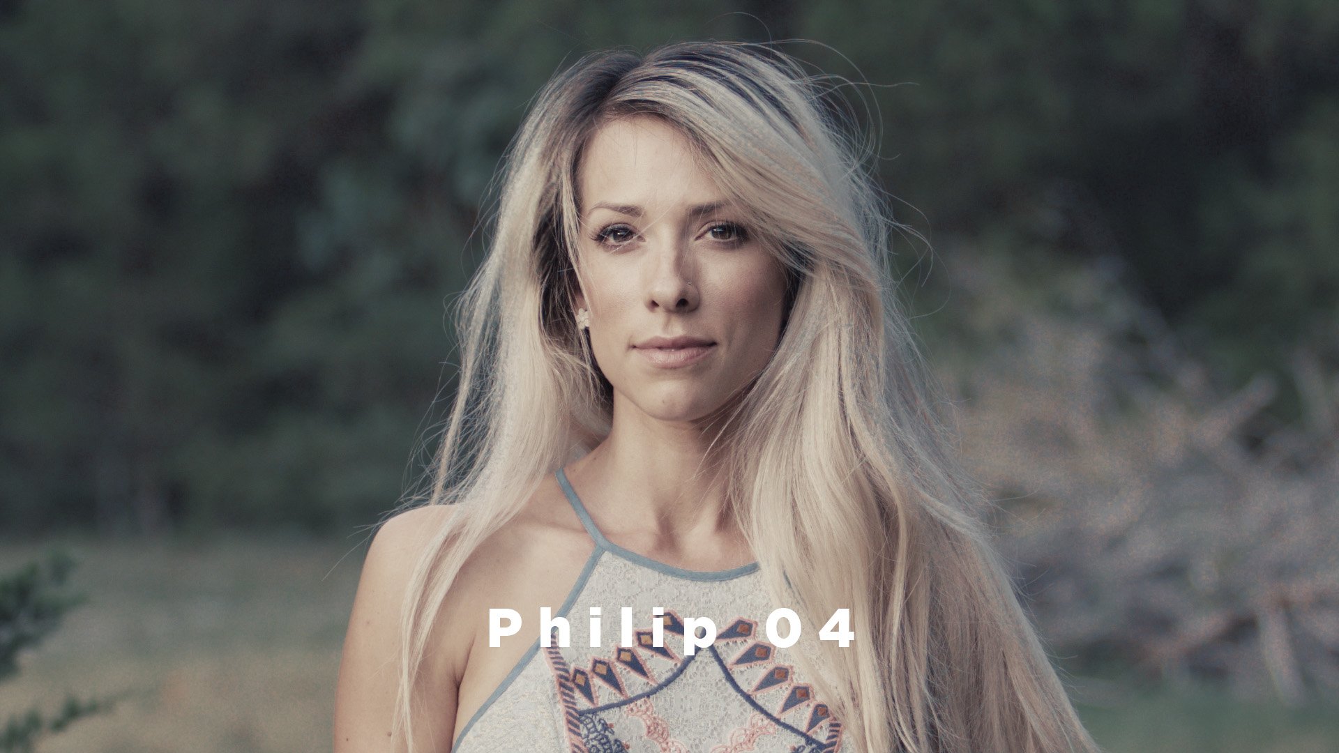 Theo Miesner Swiss Video LUTs