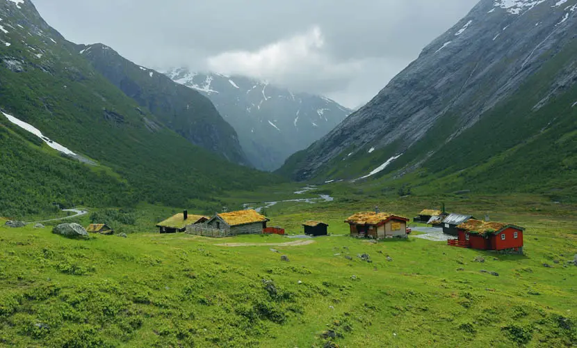 50 Expert mLUTs Film 3