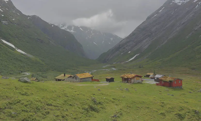 50 Expert mLUTs Film 3