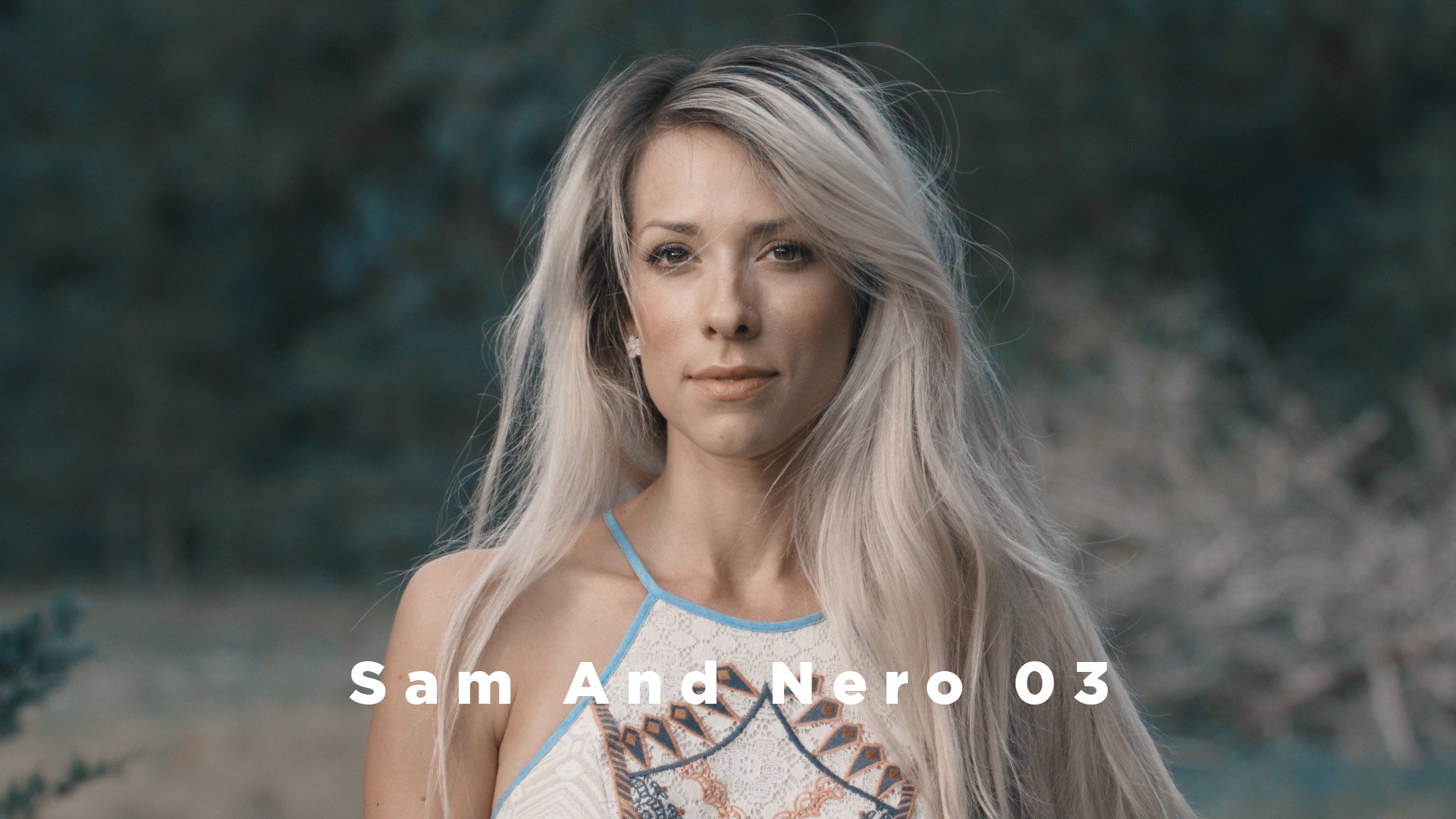 Theo Miesner Swiss Video LUTs