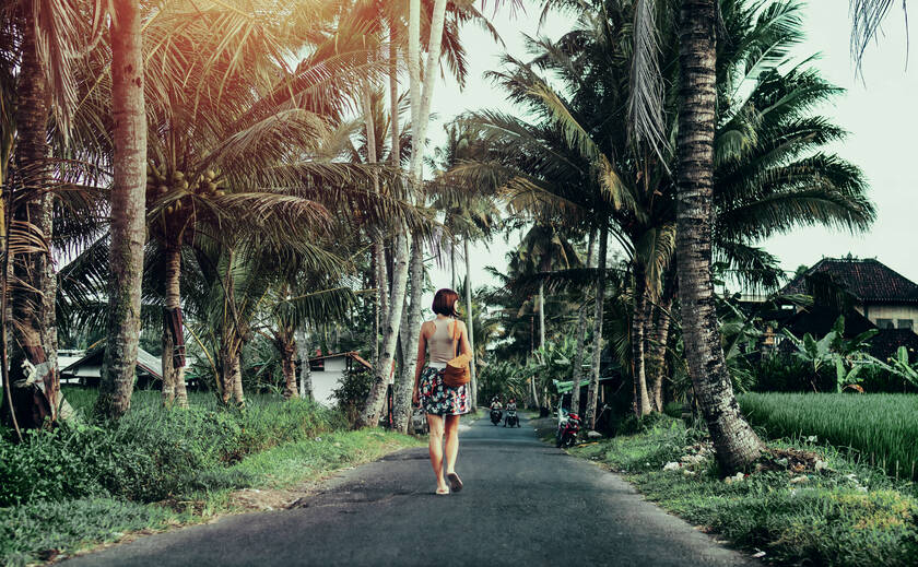 30 Professional LUTs MLUT Film 2