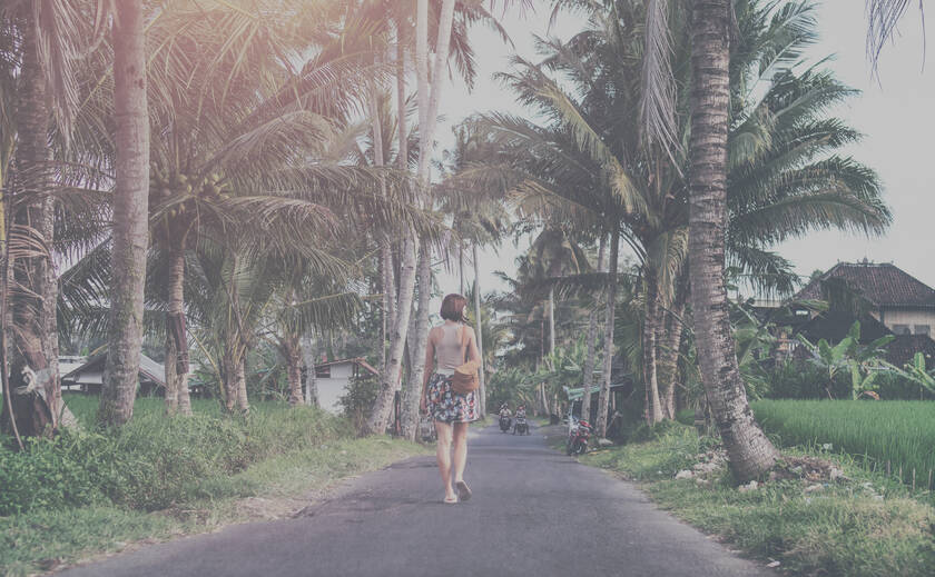 30 Professional LUTs MLUT Film 2