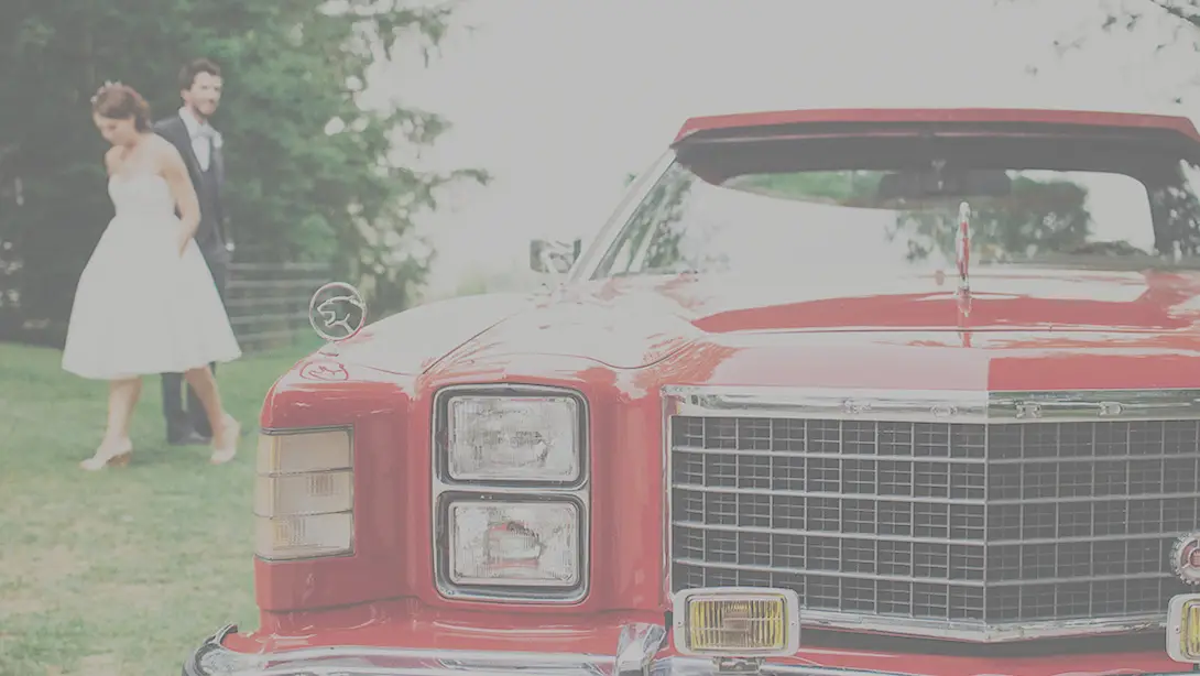 25 Professional LUTs for Wedding Videos MLUT Film