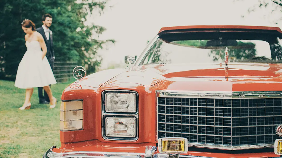 25 Professional LUTs for Wedding Videos MLUT Film