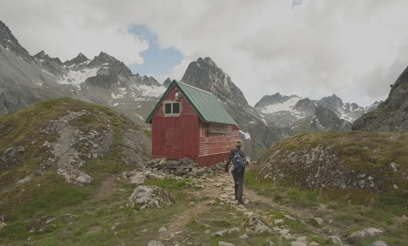 50 Expert mLUTs Film 3