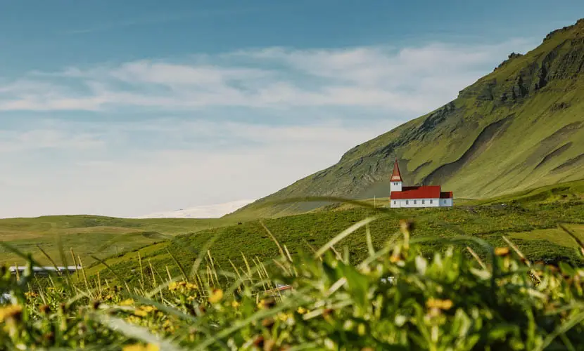 50 Expert mLUTs Film 3