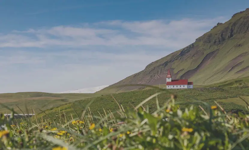 50 Expert mLUTs Film 3