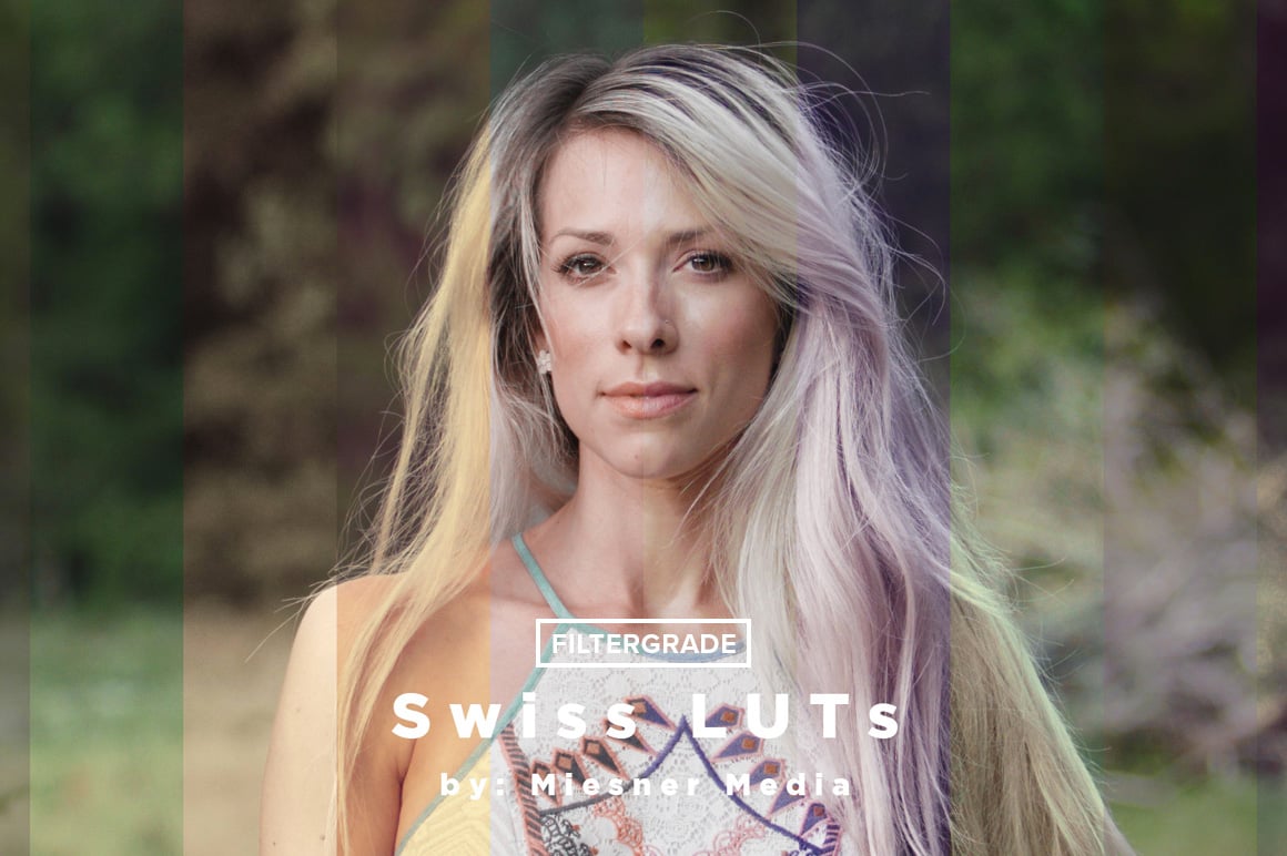 Theo Miesner Swiss Video LUTs