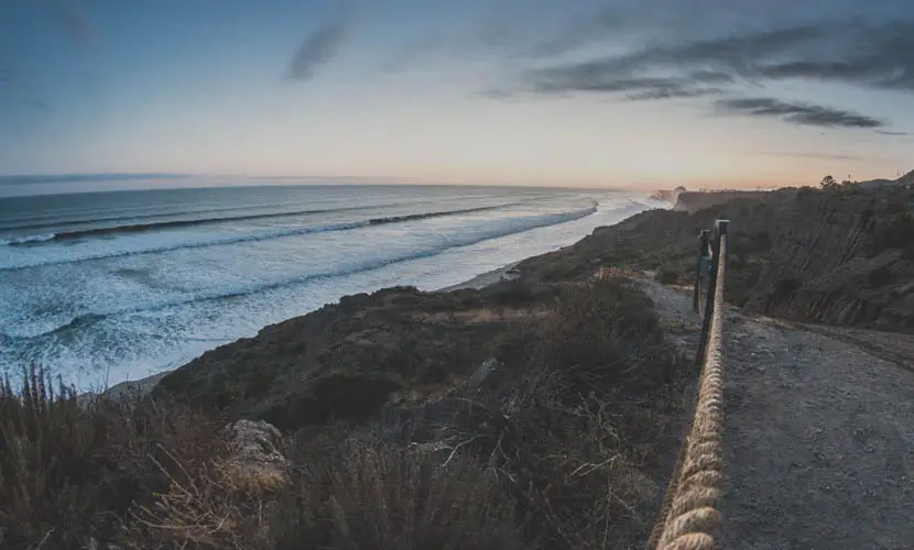 50 Expert mLUTs Film 3