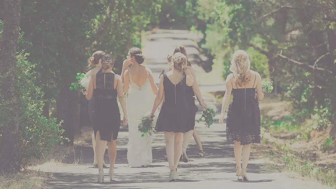 25 Professional LUTs for Wedding Videos MLUT Film