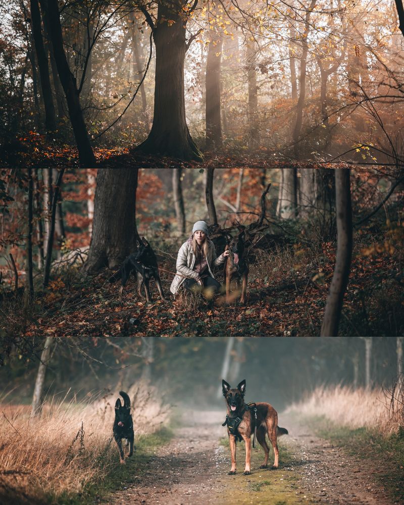 MOOD 10 Lightroom Presets