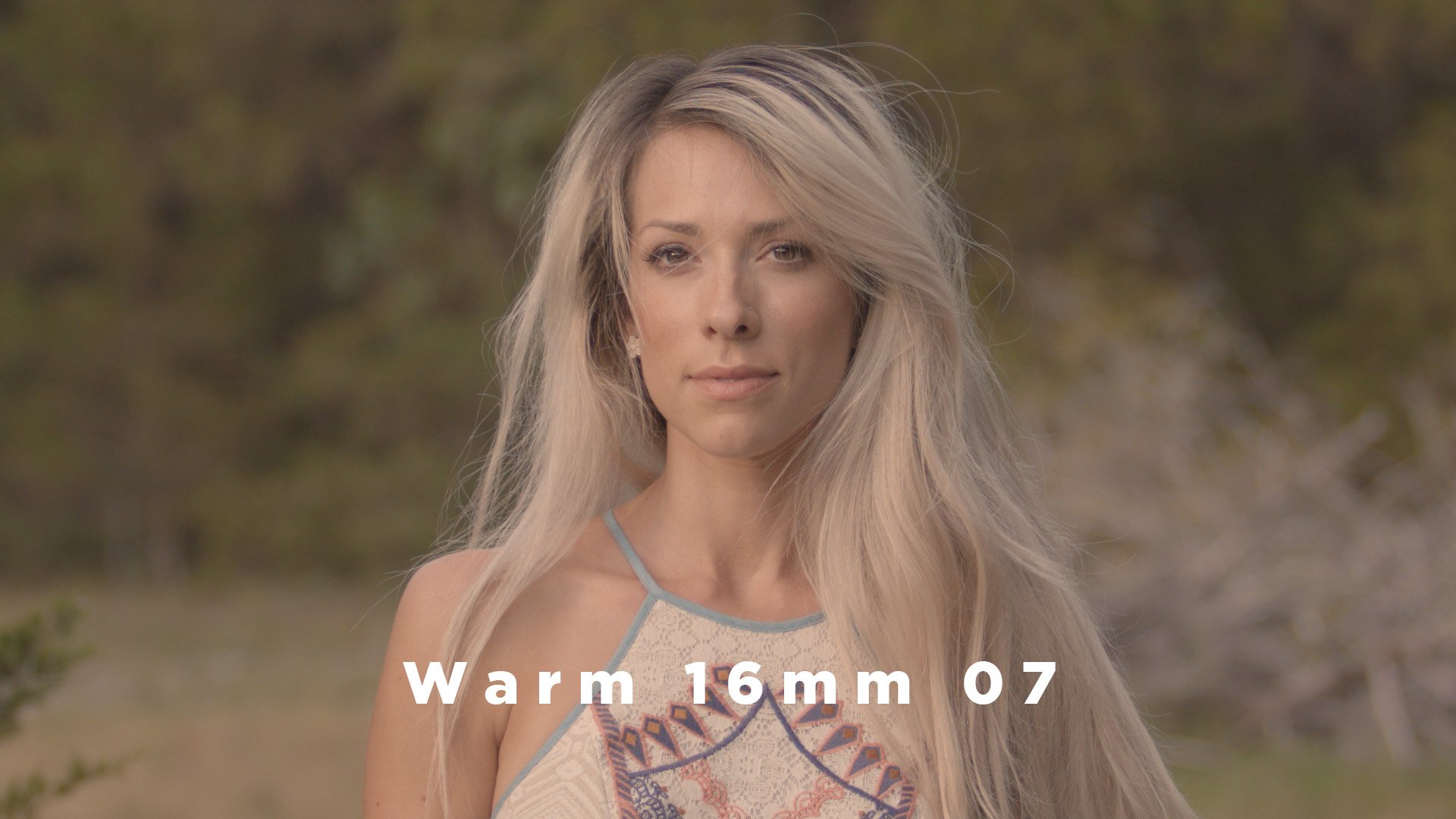 Theo Miesner Swiss Video LUTs