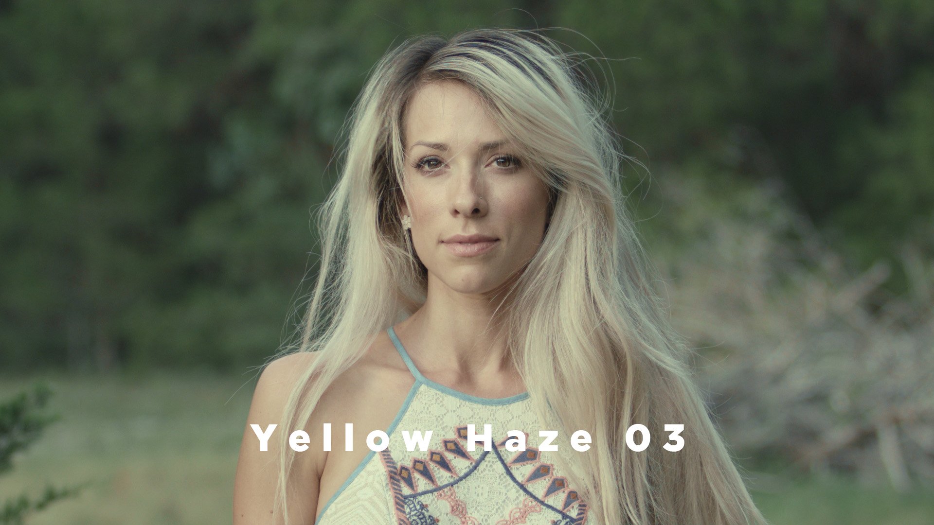 Theo Miesner Swiss Video LUTs