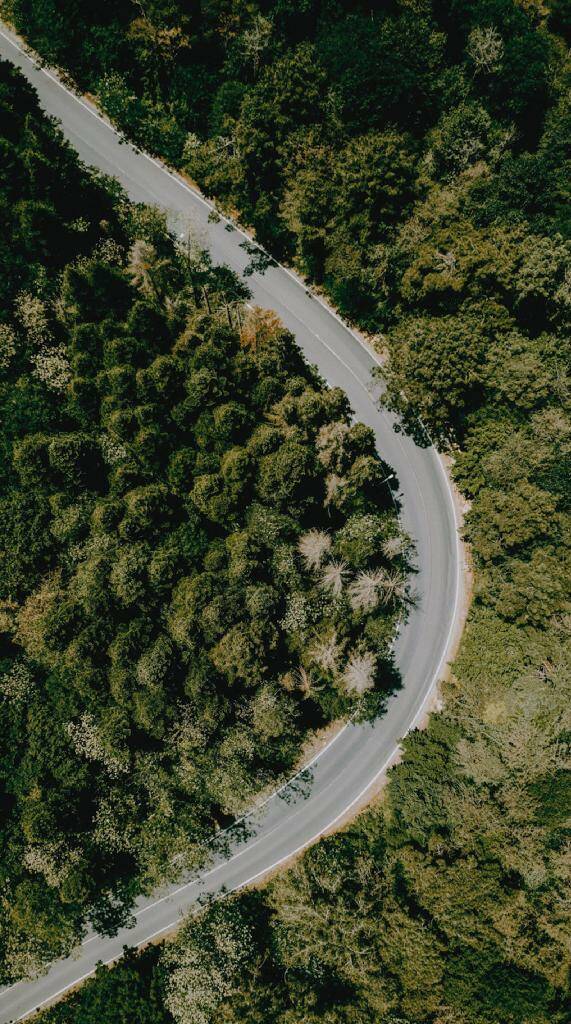 Analogicalab LUT Fantastico Filtro