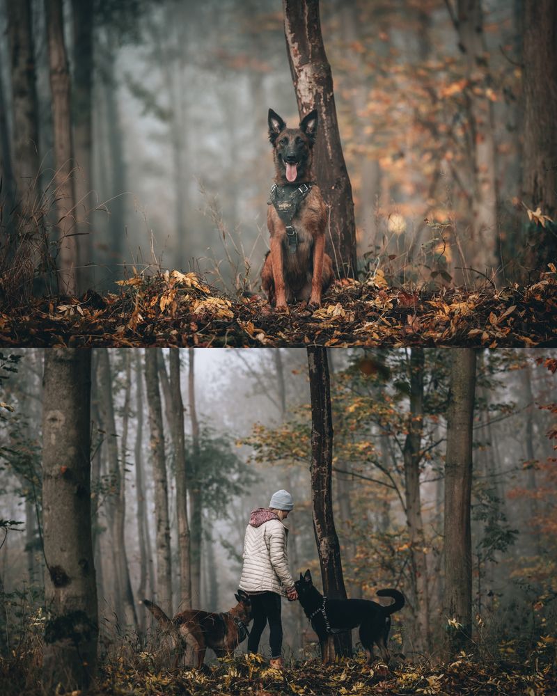 MOOD 10 Lightroom Presets