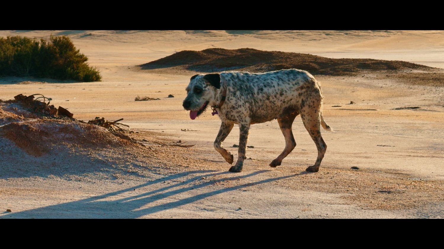 iPhone16Pro2Alexa LUTs (10)