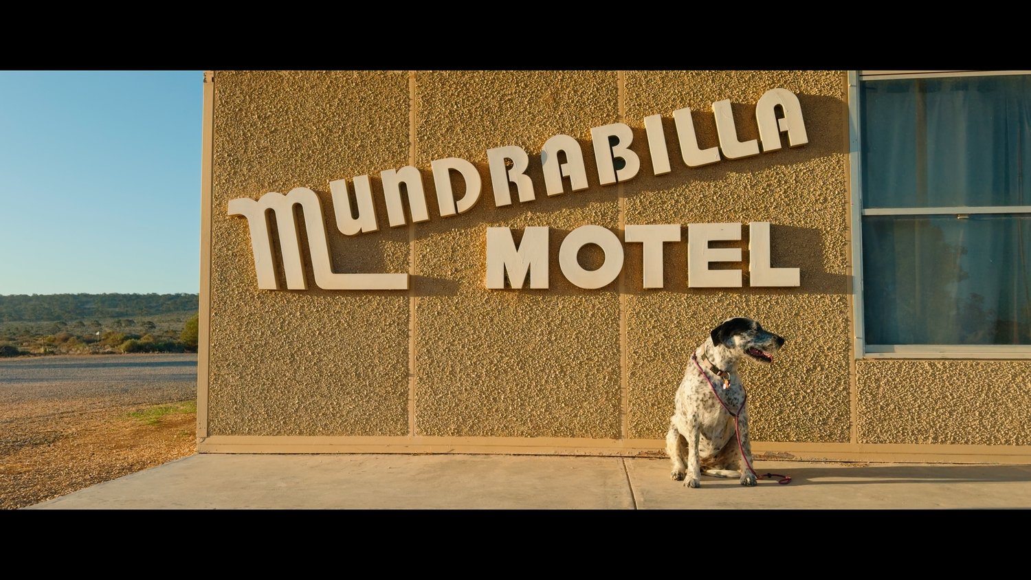 iPhone16Pro2Alexa LUTs (13)