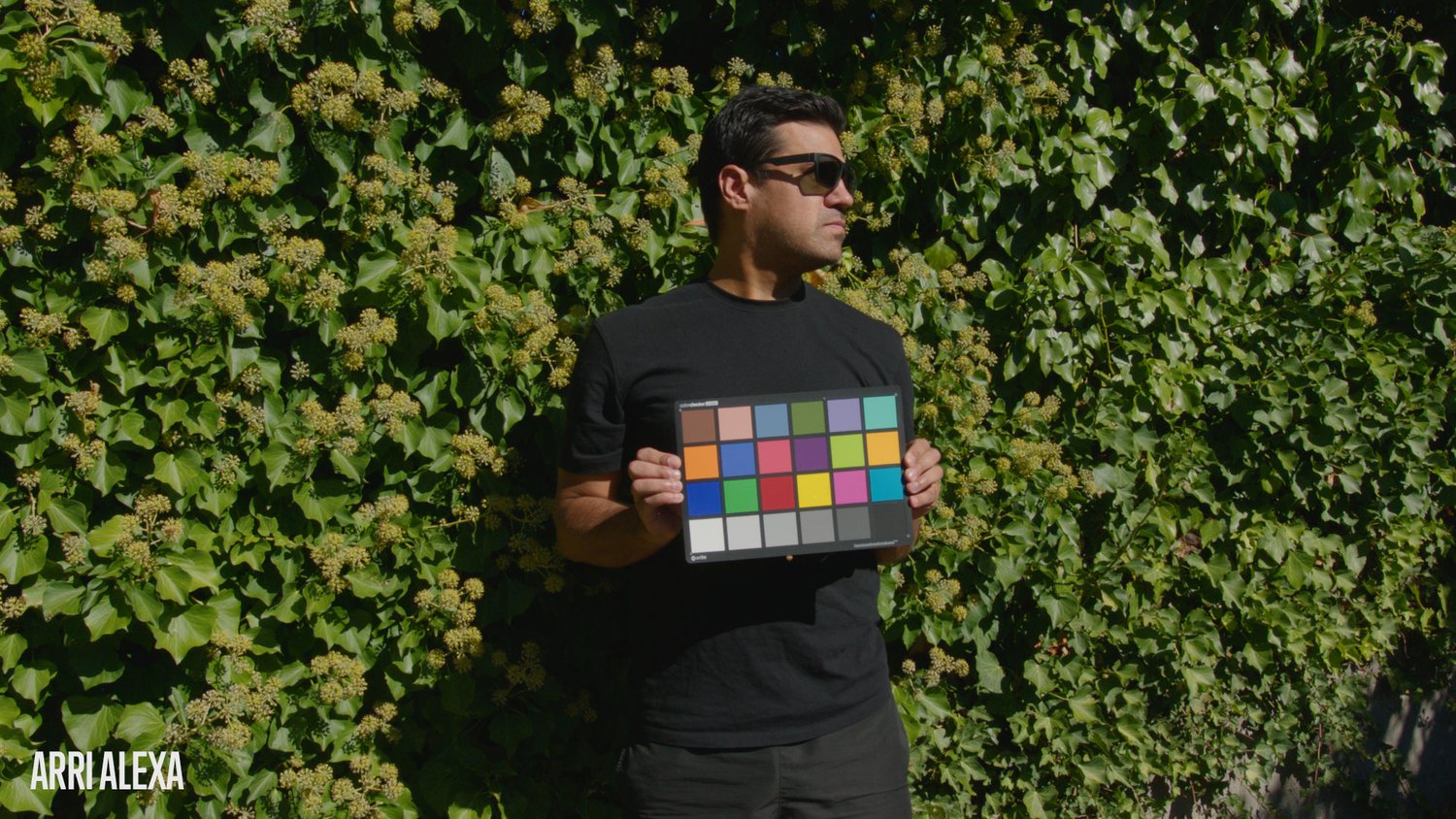 iPhone16Pro2Alexa LUTs