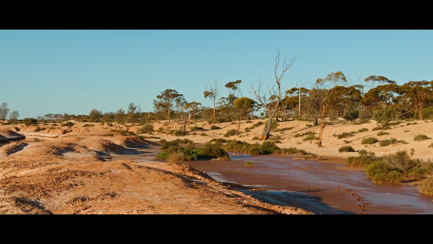 iPhone16Pro2Alexa LUTs (7)