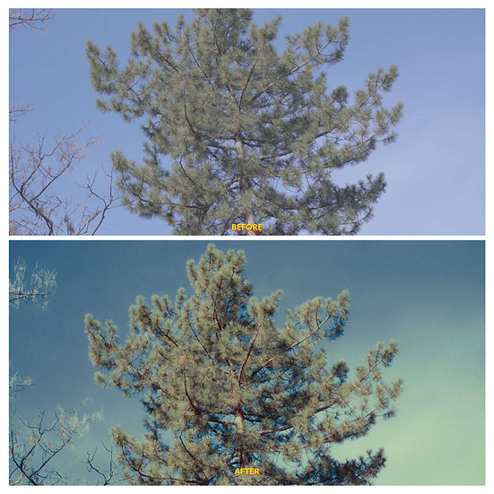 Super 8 Film Emulation Power Grades