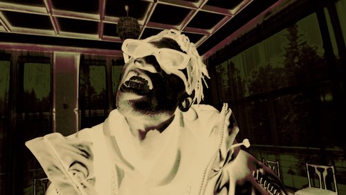 12 Thermographic LUTs