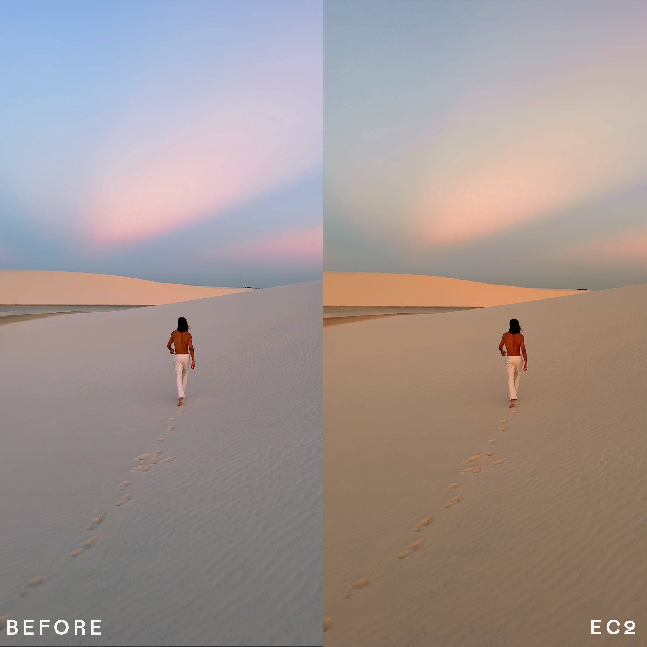 Envijon Cinematic Mobile LUTs