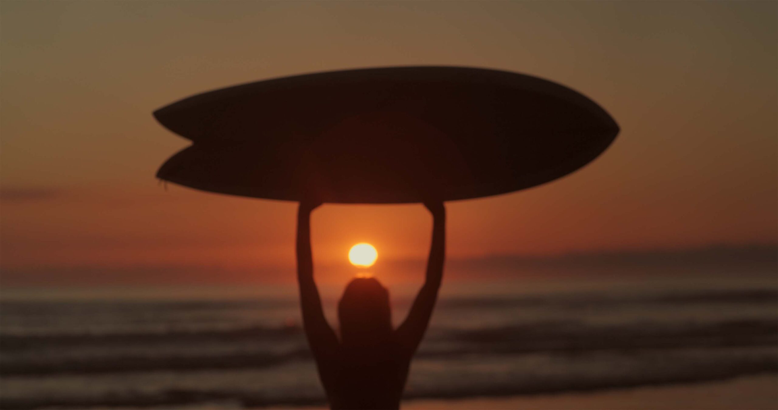 Envijon Cinematic Video LUTs