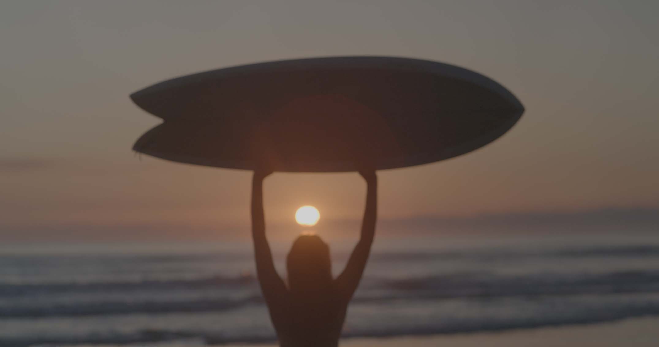 Envijon Cinematic Video LUTs