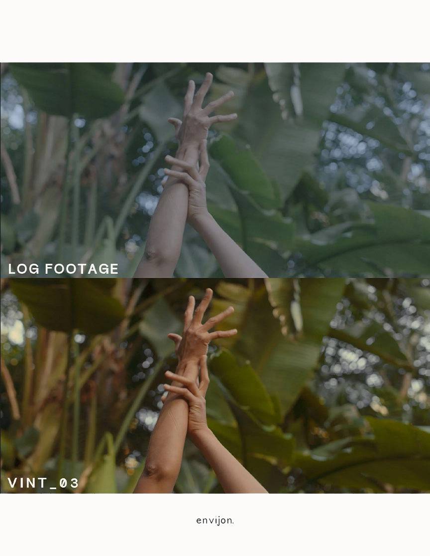 Envijon Vintage Video LUTs