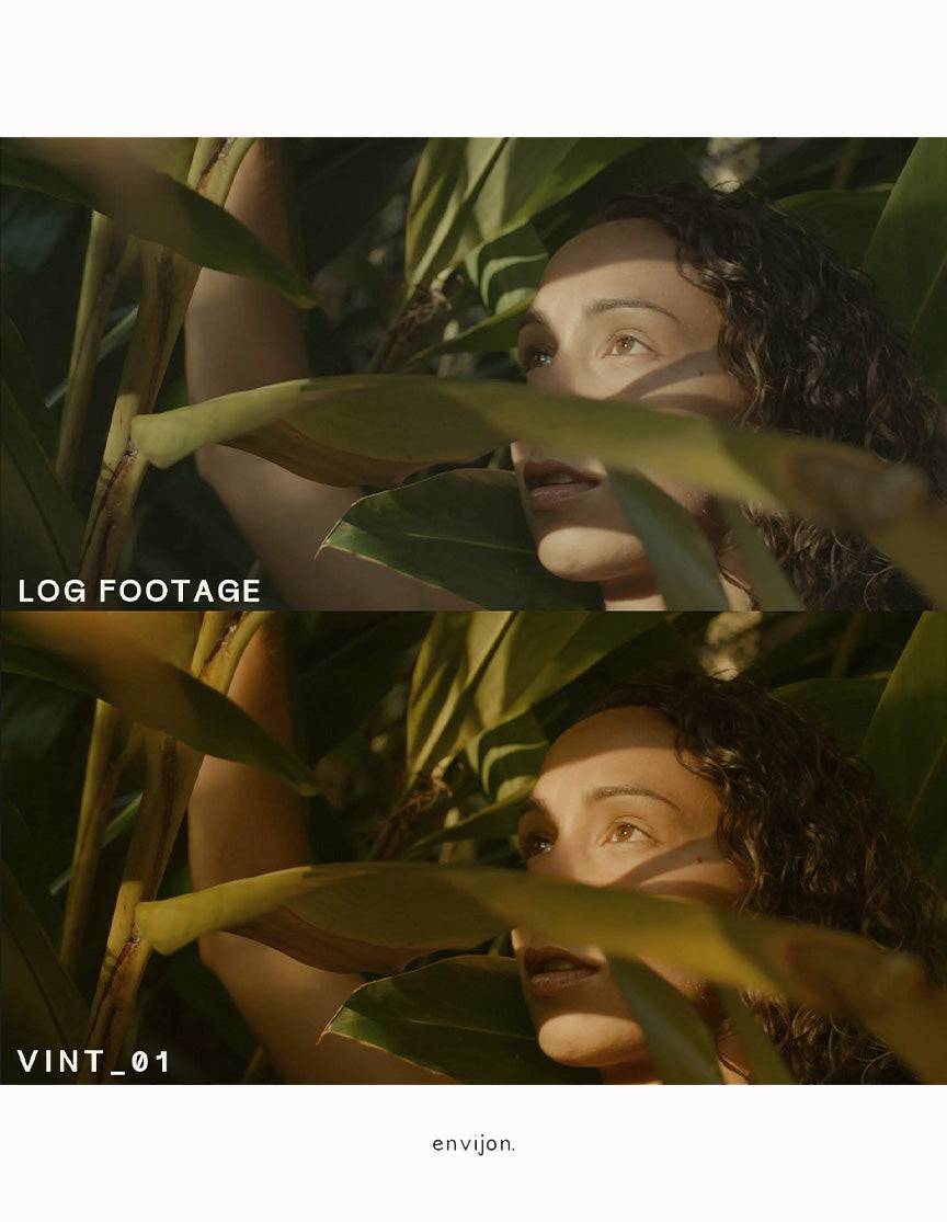 Envijon Vintage Video LUTs