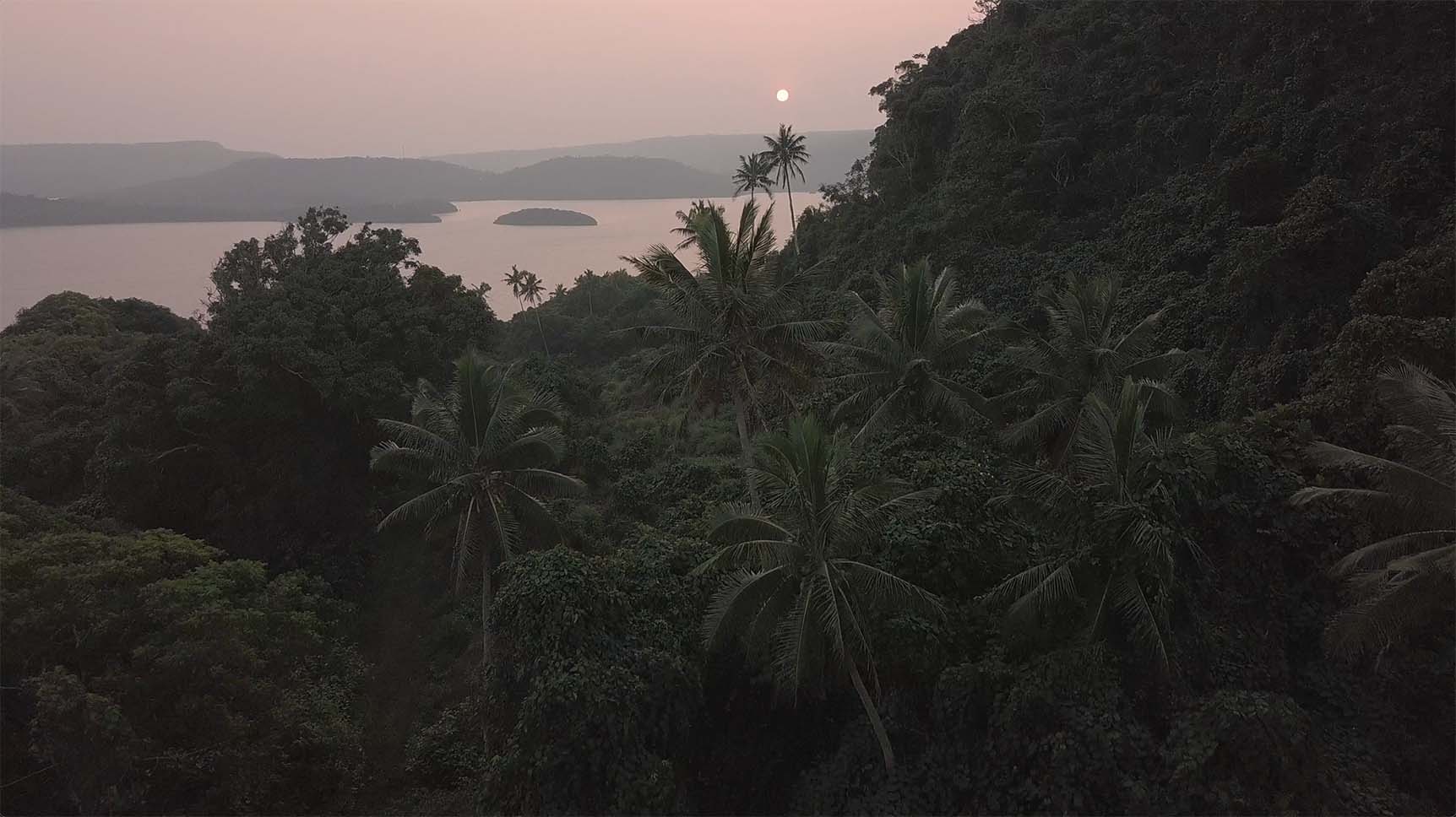 Envijon Vintage Video LUTs