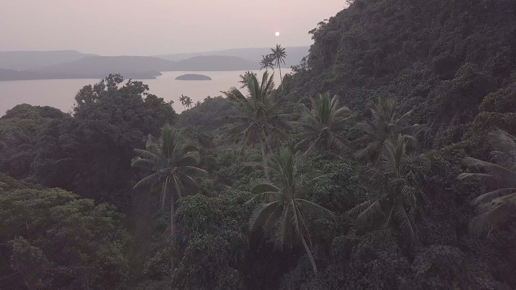 Envijon Vintage Video LUTs